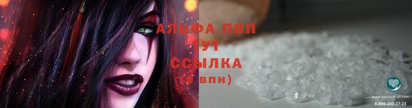 ECSTASY Верея