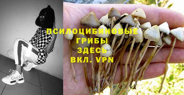 скорость Верхний Тагил