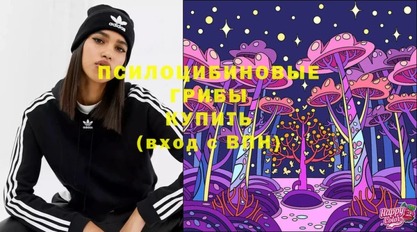 ECSTASY Верея