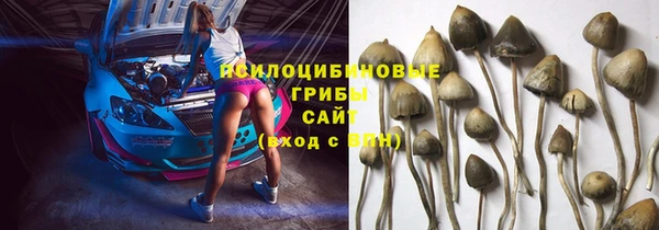 скорость Верхний Тагил